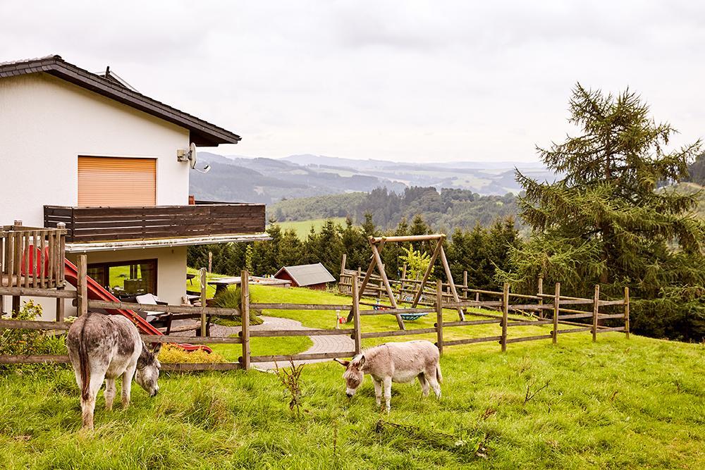 Pension Haus Am Einberg Meschede Esterno foto